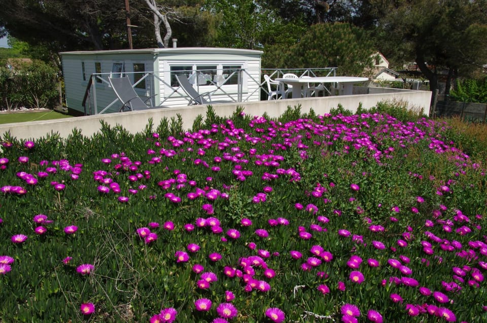 Property building, Spring, Natural landscape