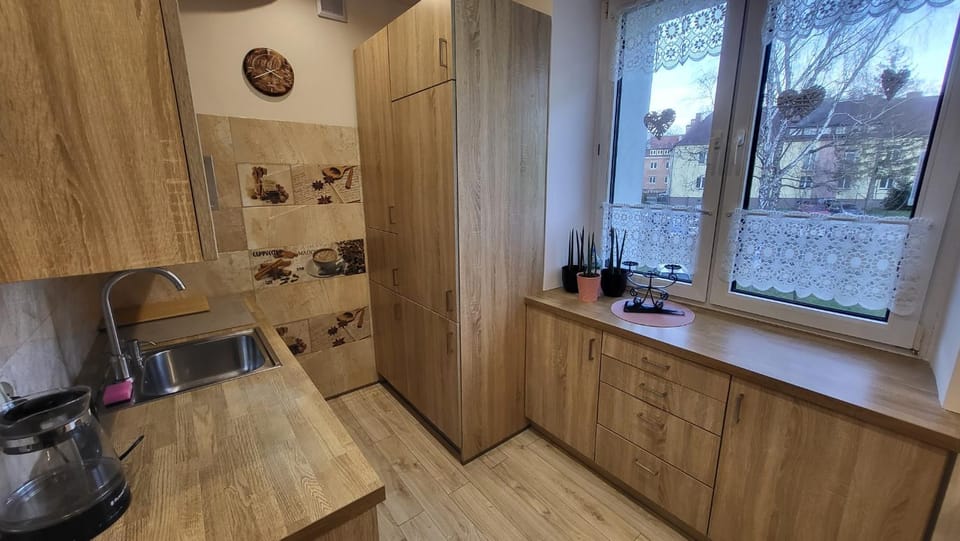Kitchen or kitchenette, dishwasher, stove