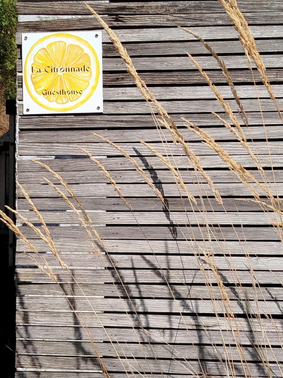 La Citronnade Bed and Breakfast in Wallonia, Belgium