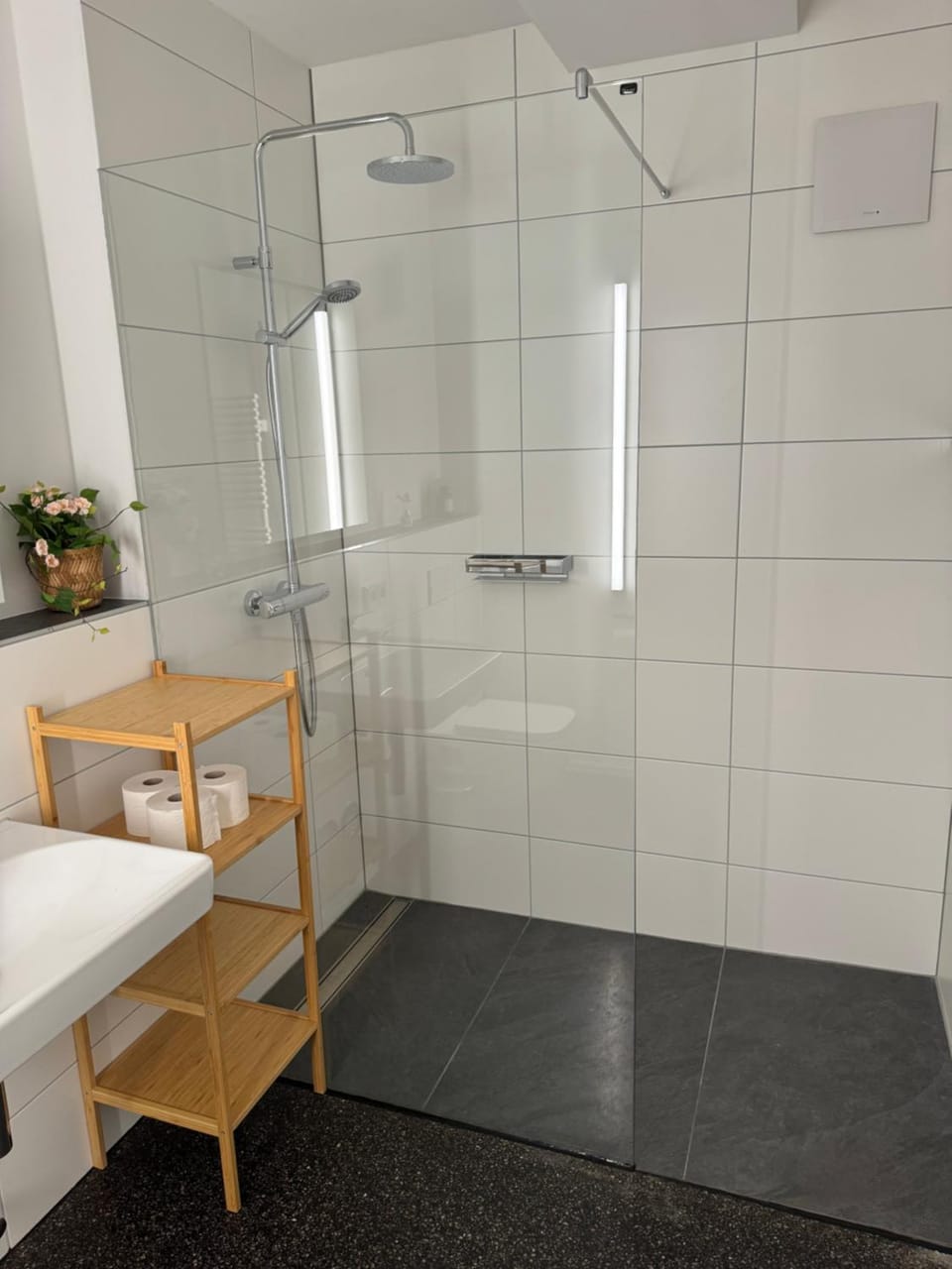 Shower, Bathroom, towels
