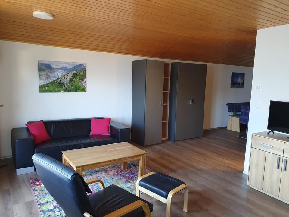 Studio Tamara Apartment in Canton of Valais