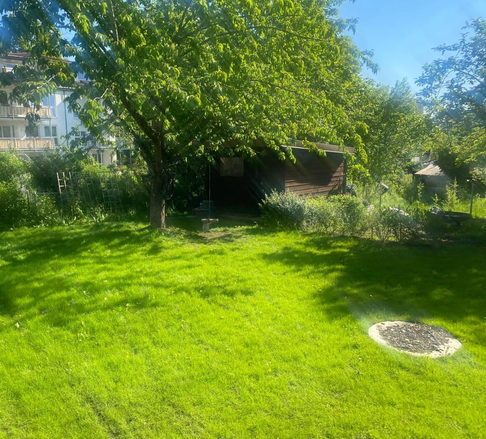 Garden view