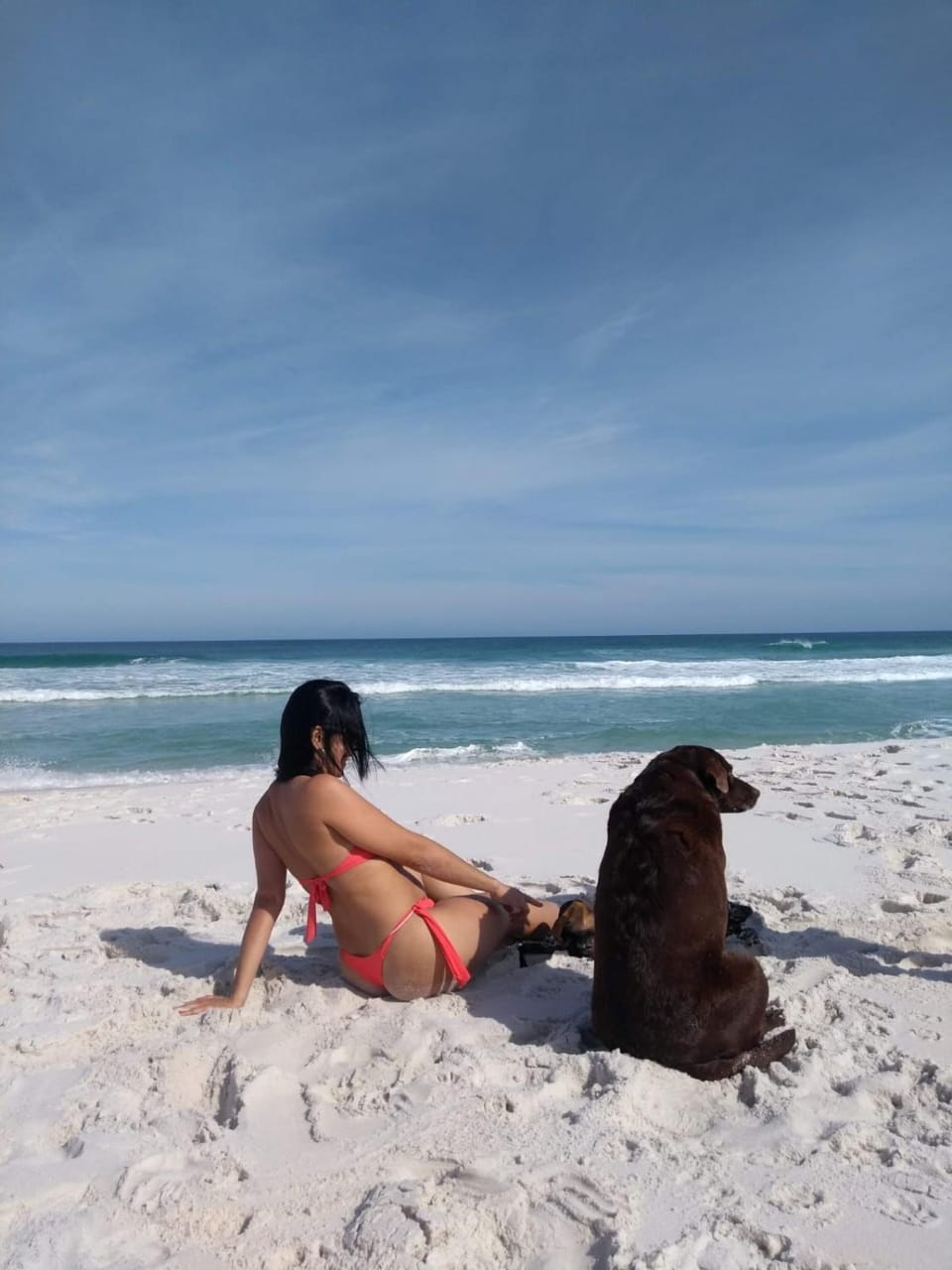 Day, People, Natural landscape, Beach, Animals, Pets