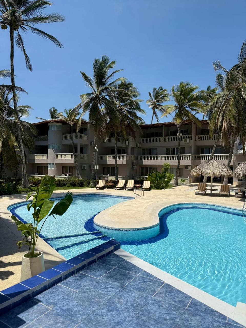 Day, Pool view, Swimming pool