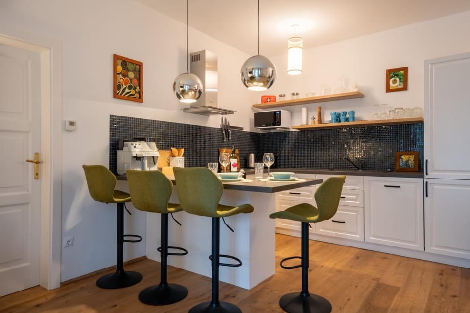 Kitchen or kitchenette, minibar, pet friendly, stove
