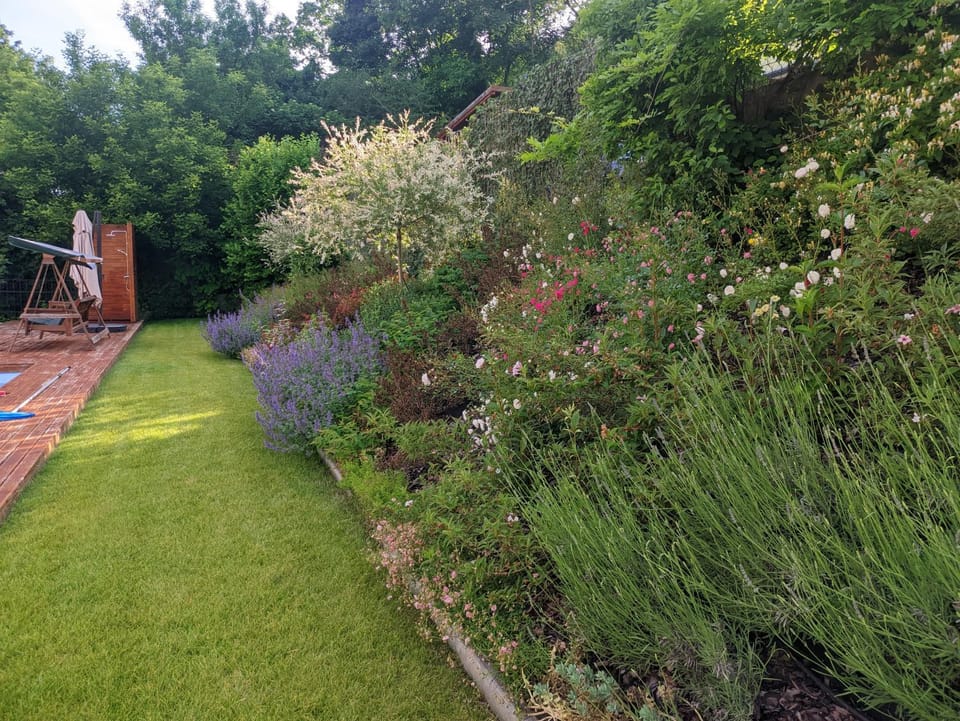 Property building, Garden view