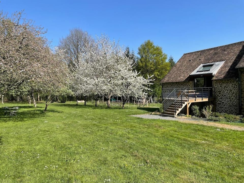 Natural landscape, Garden view