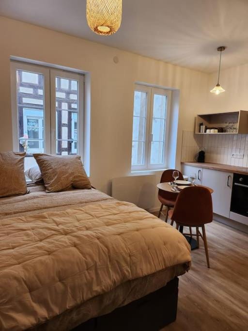 La météorite Apartment in Strasbourg