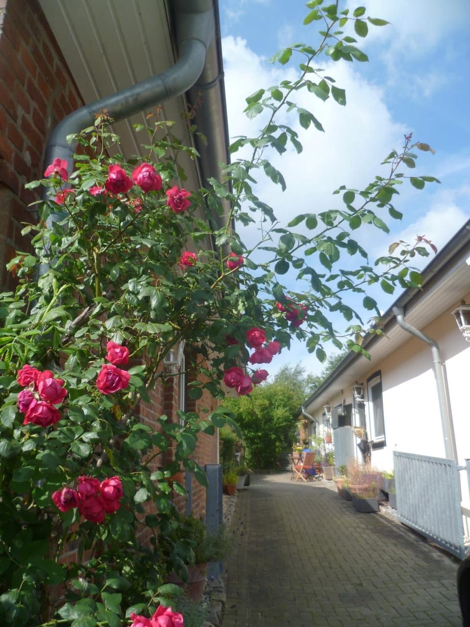 Property building, Spring