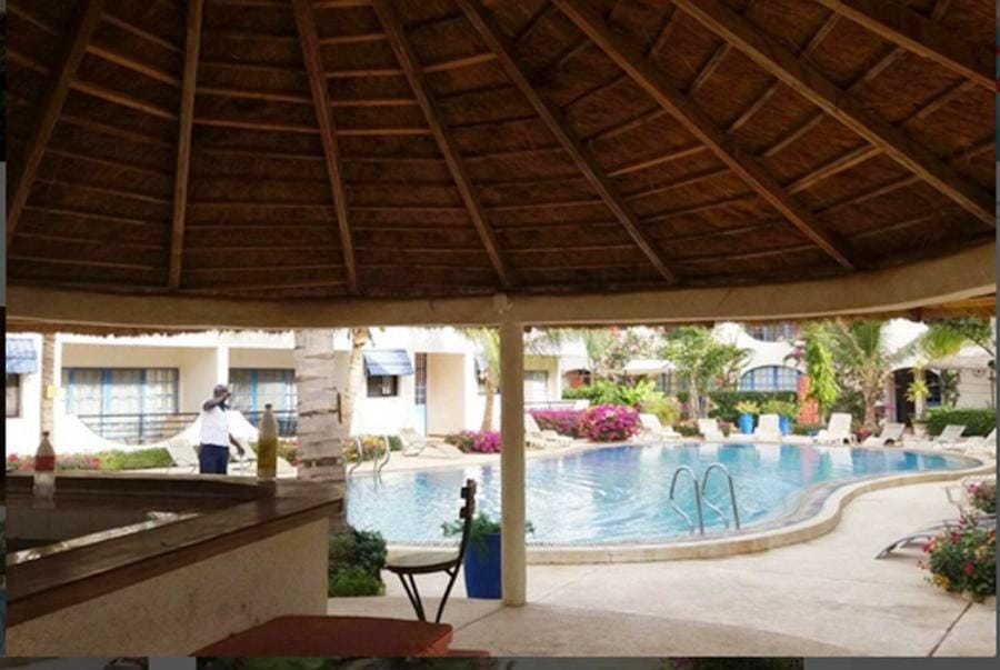 Pool view, Swimming pool, sunbed