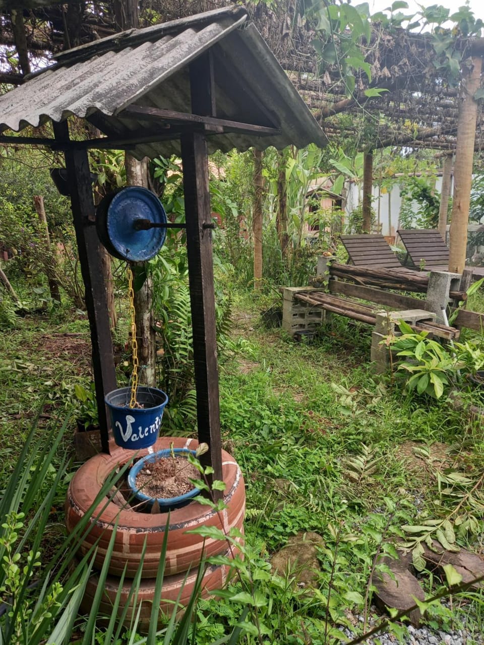 Garden view