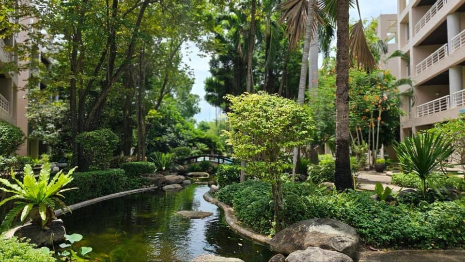 Day, Garden, Garden view