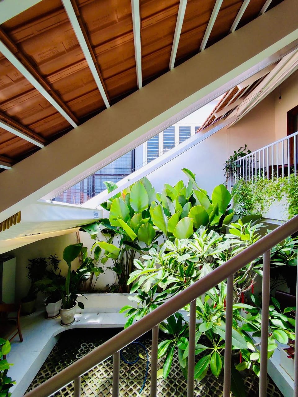 Property building, Garden, View (from property/room), Garden view