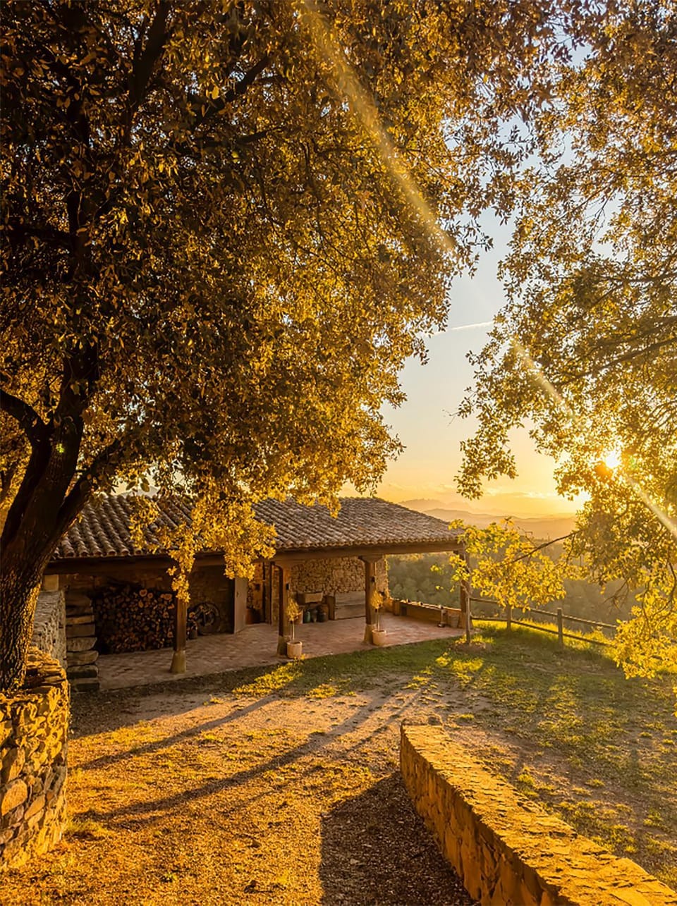 Nearby landmark, Spring, Day, Natural landscape, Garden, Garden, Garden view, Sunrise, Sunset