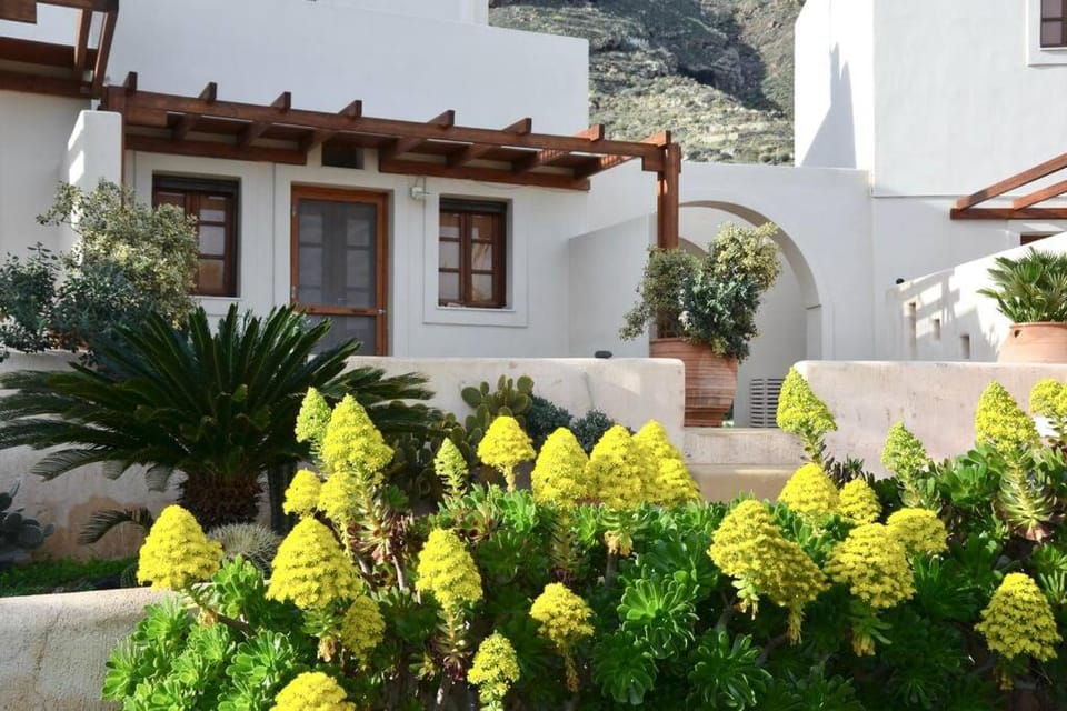 Property building, Garden, Garden view