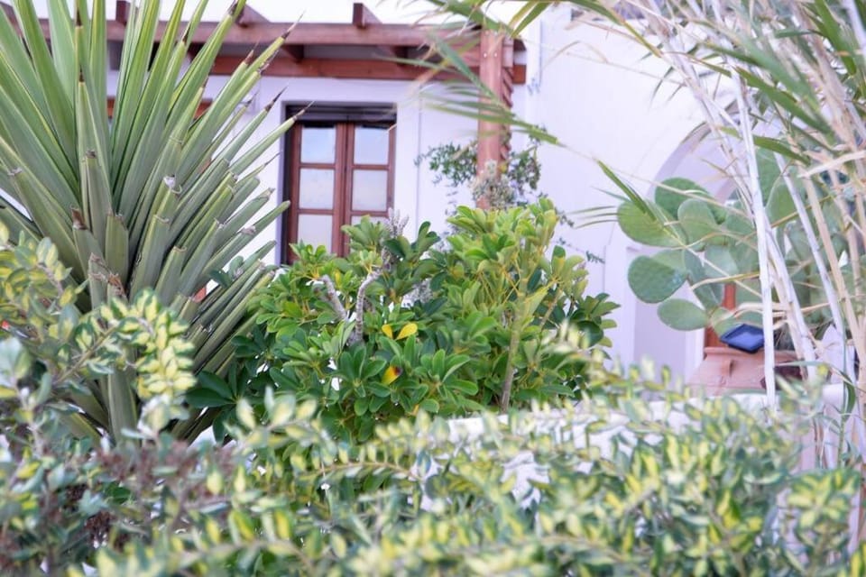 Garden, Garden view