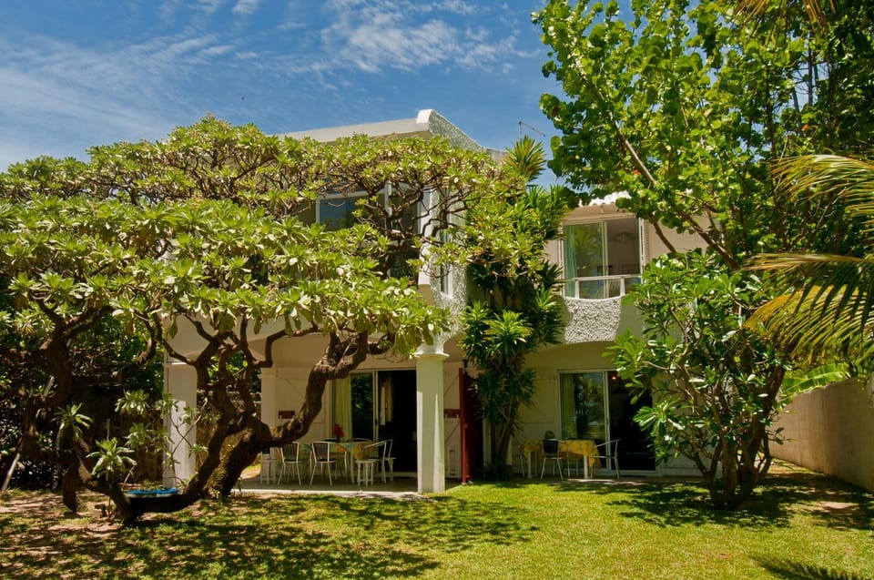 Property building, Garden view