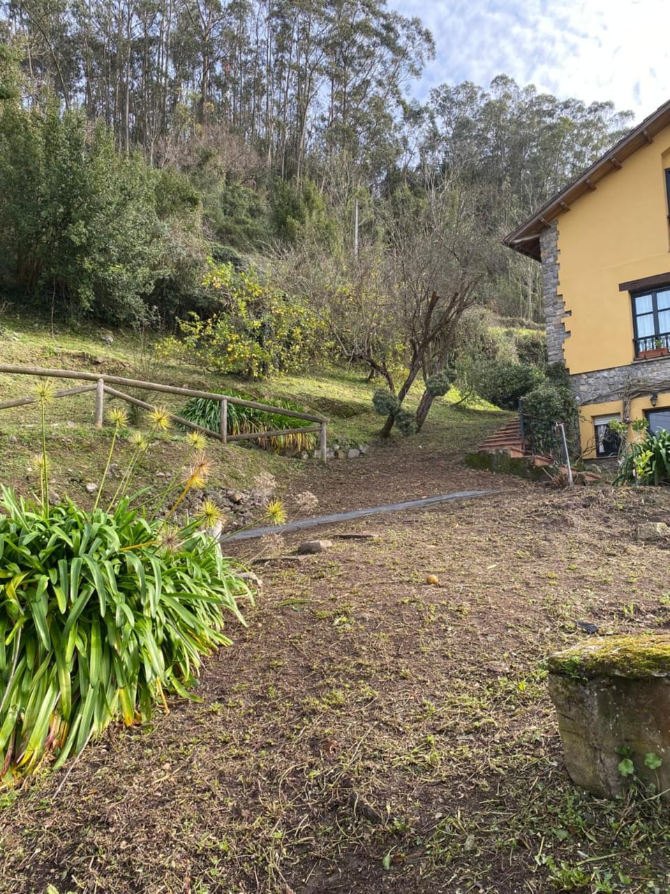 Garden view