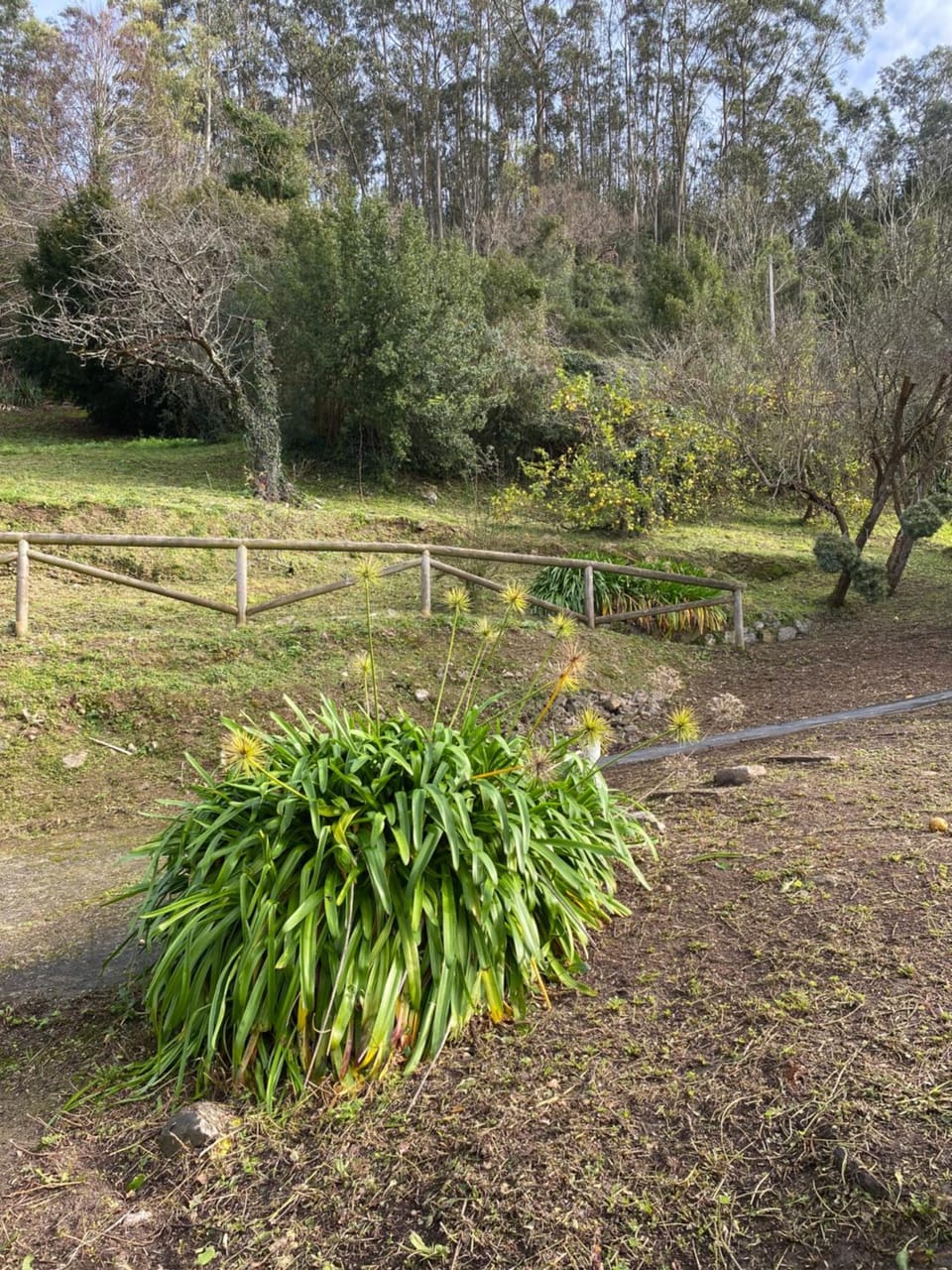 Garden, Garden view