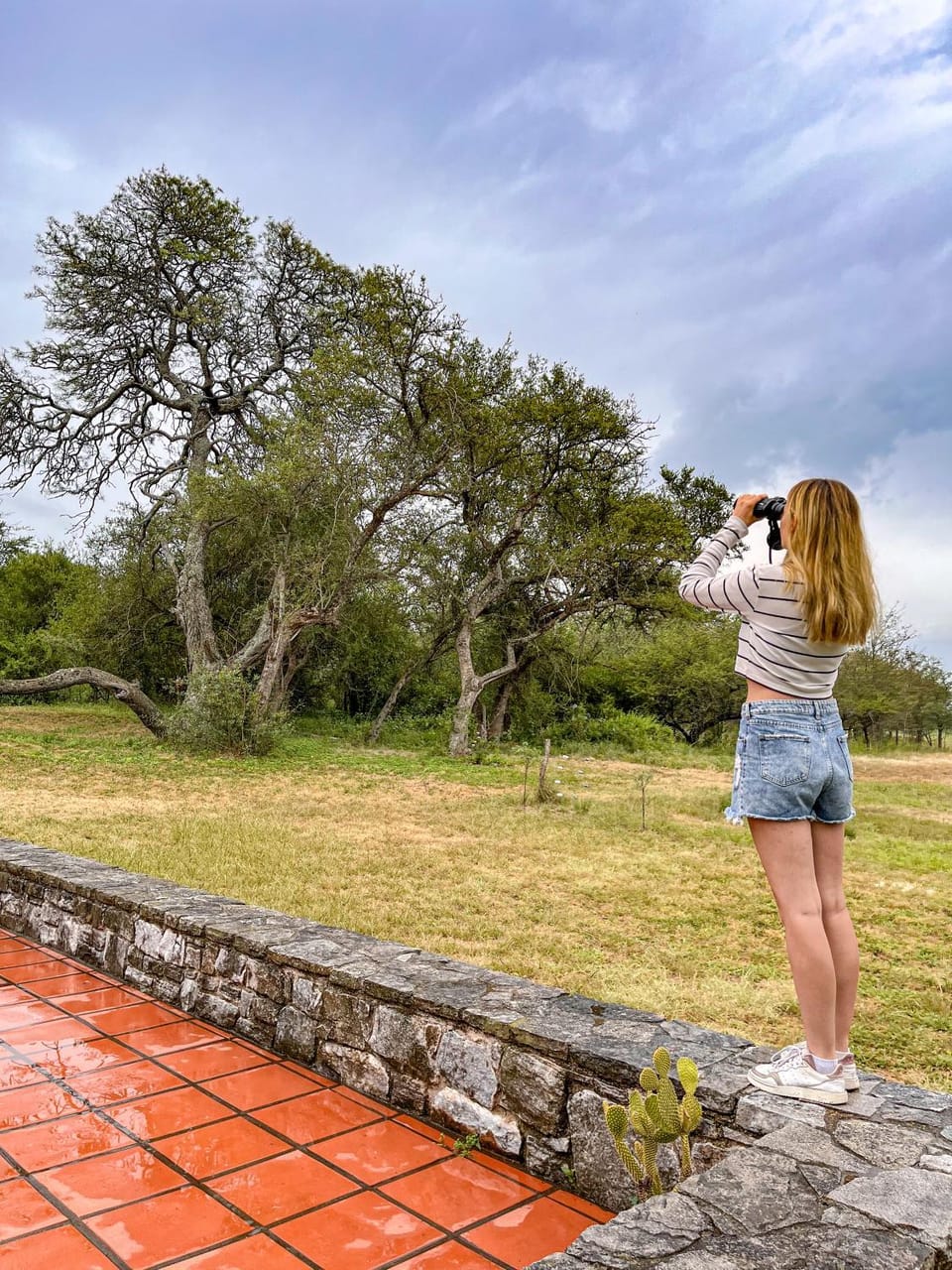 Natural landscape, Guests, Garden view