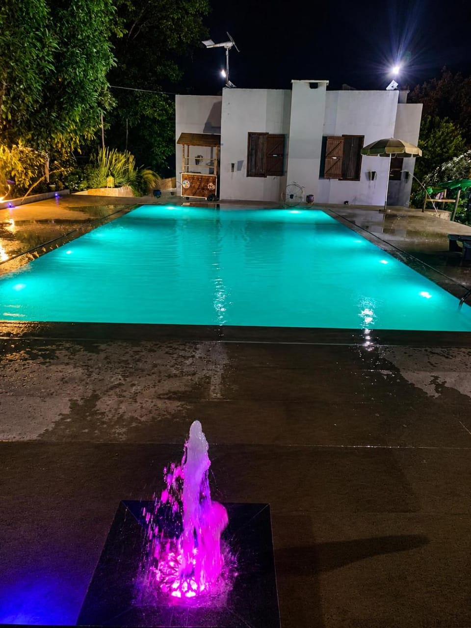 Pool view, Pool view, Swimming pool, Swimming pool, Swimming pool