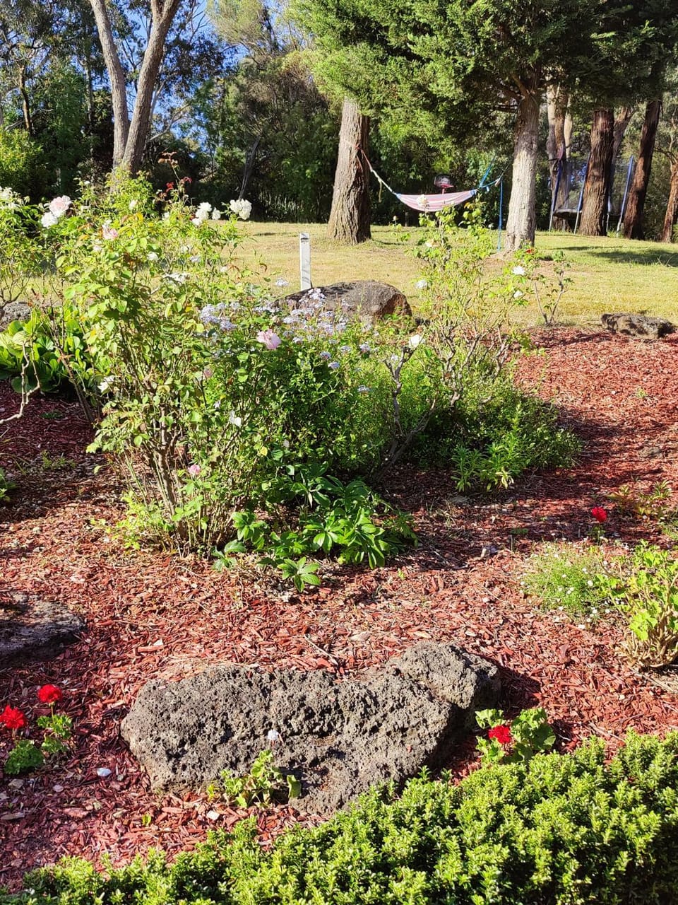 Garden, Garden, Garden view