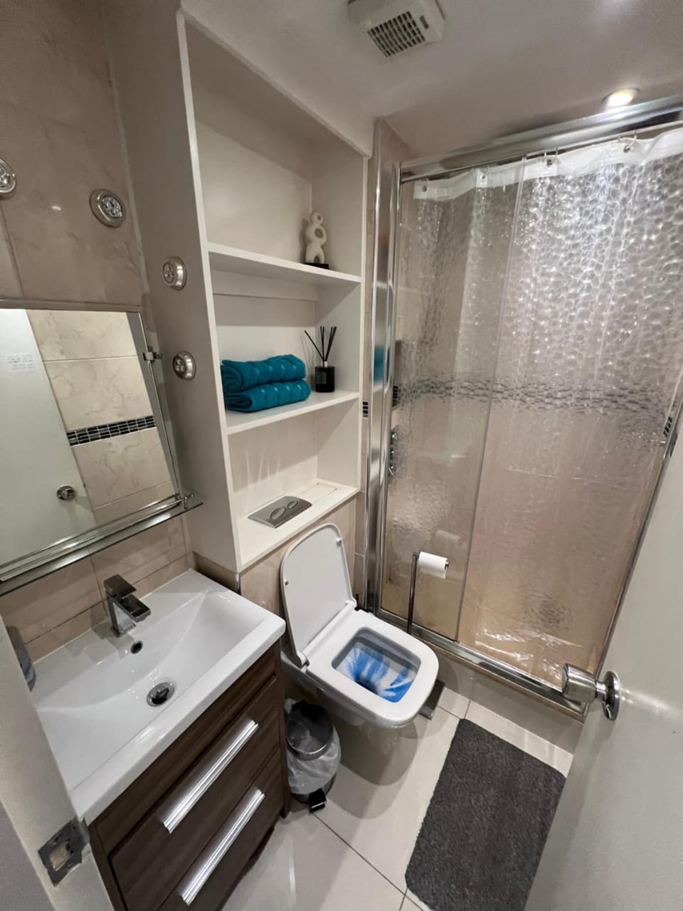 Shower, Toilet