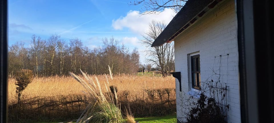 Waterjuffer Bed and Breakfast in Flevoland, Netherlands