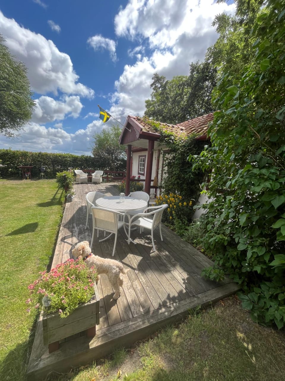 Patio, Day, Garden, Dining area