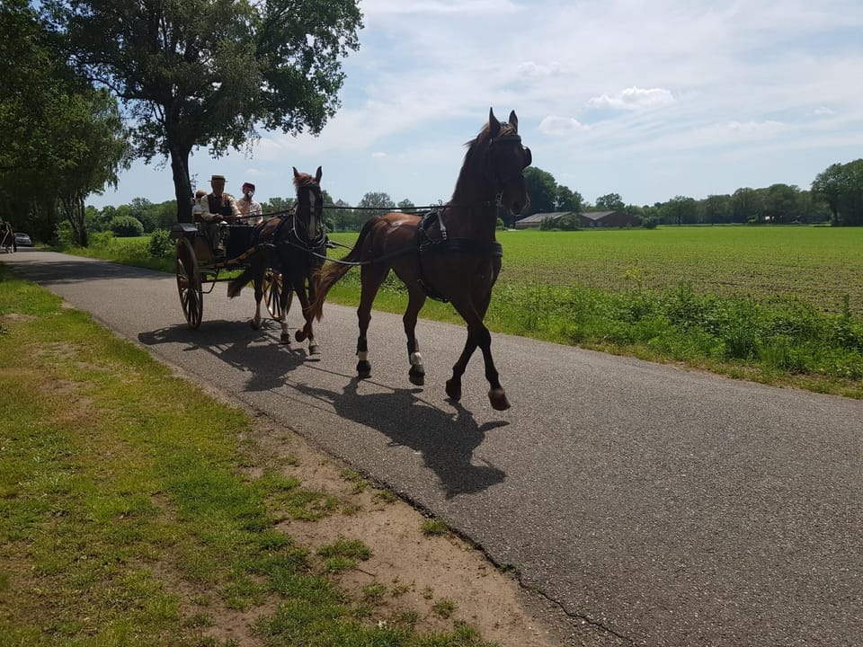 Huisjeaandedinkel Bed and Breakfast in Overijssel (province)