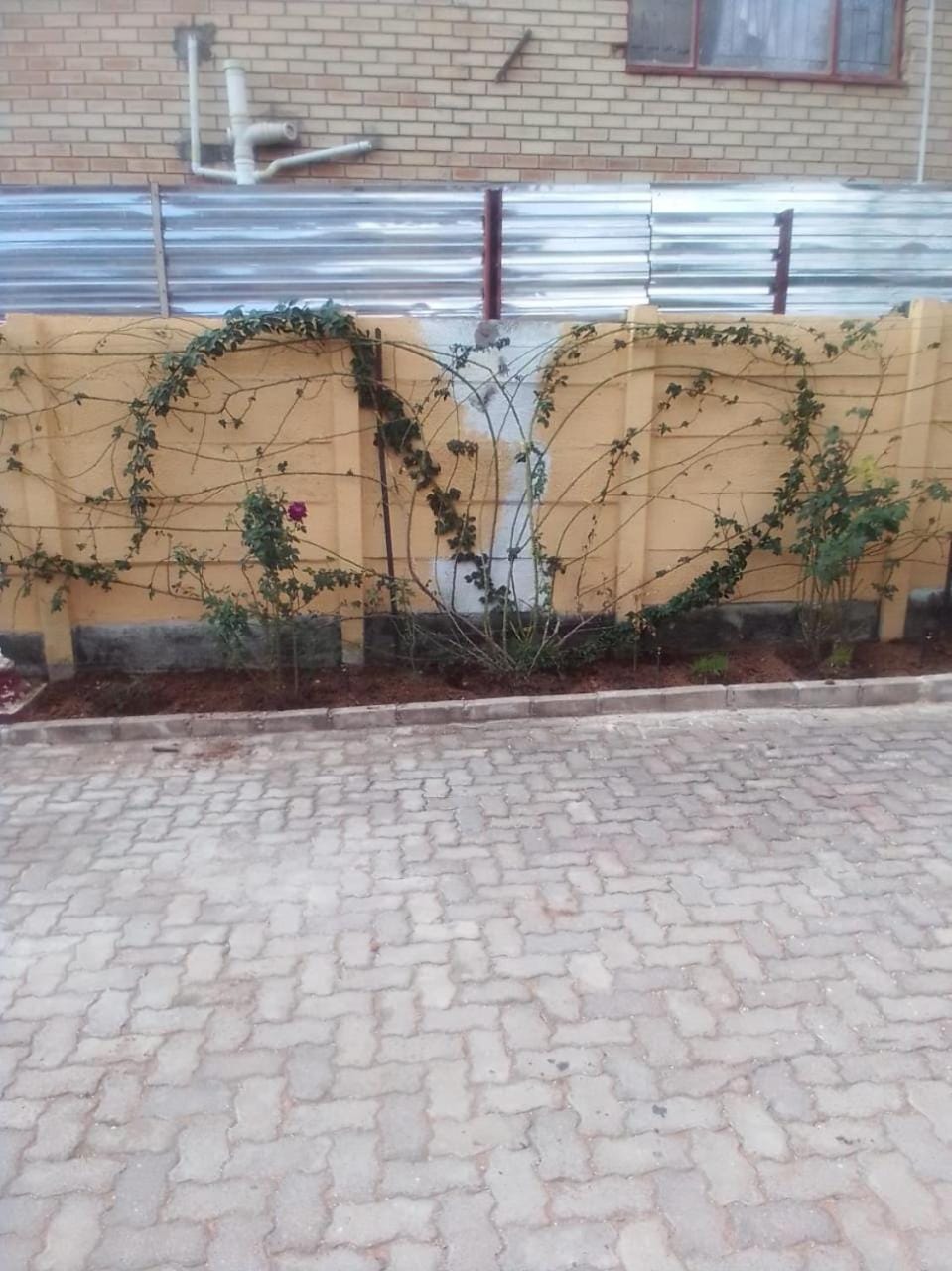 GLORIA'S GUESTS.COM Vacation rental in South Africa