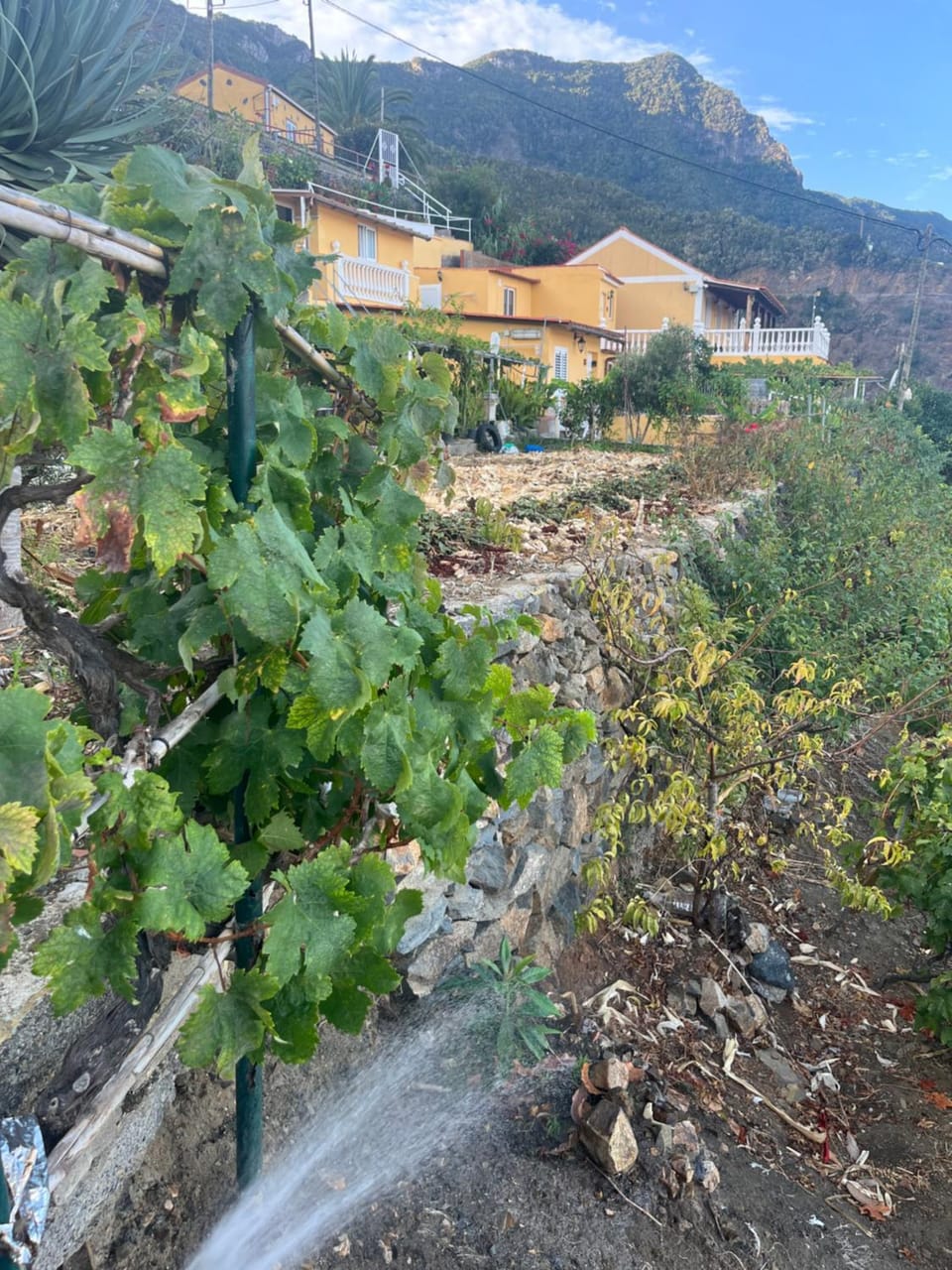 Casa Verde Apartment in La Gomera
