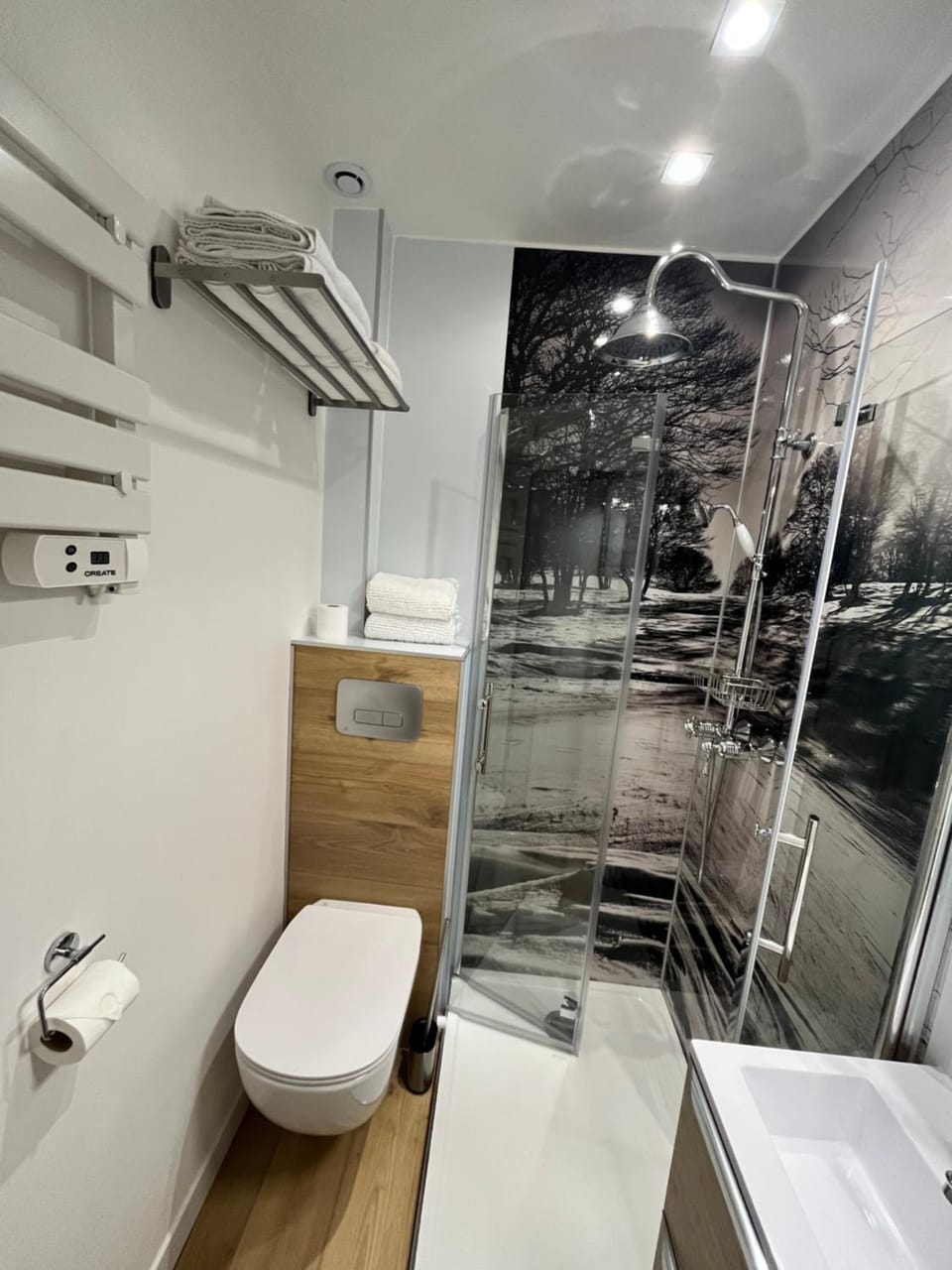 Shower, Toilet, Bathroom, towels