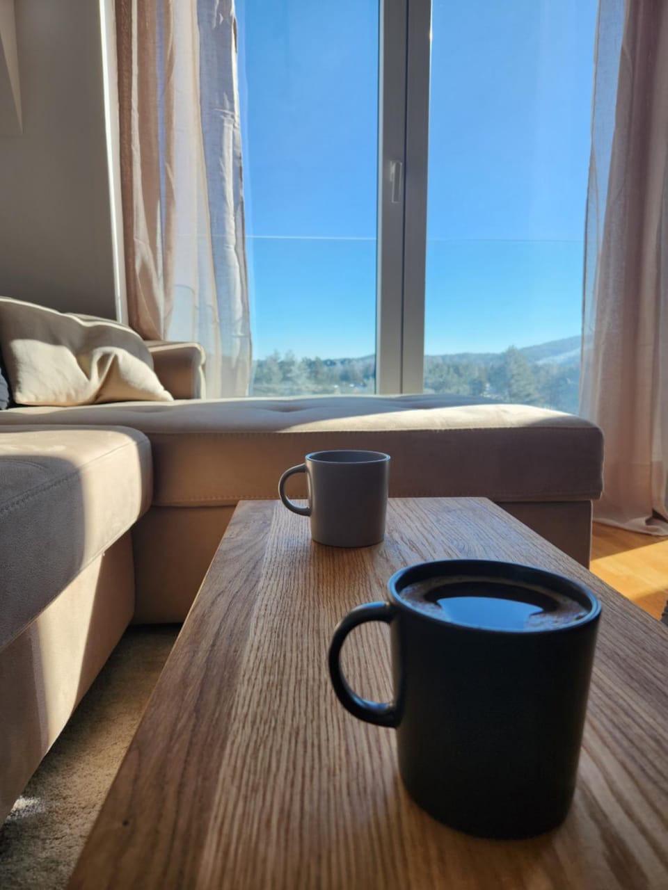 Natural landscape, View (from property/room), Living room, Seating area, Mountain view
