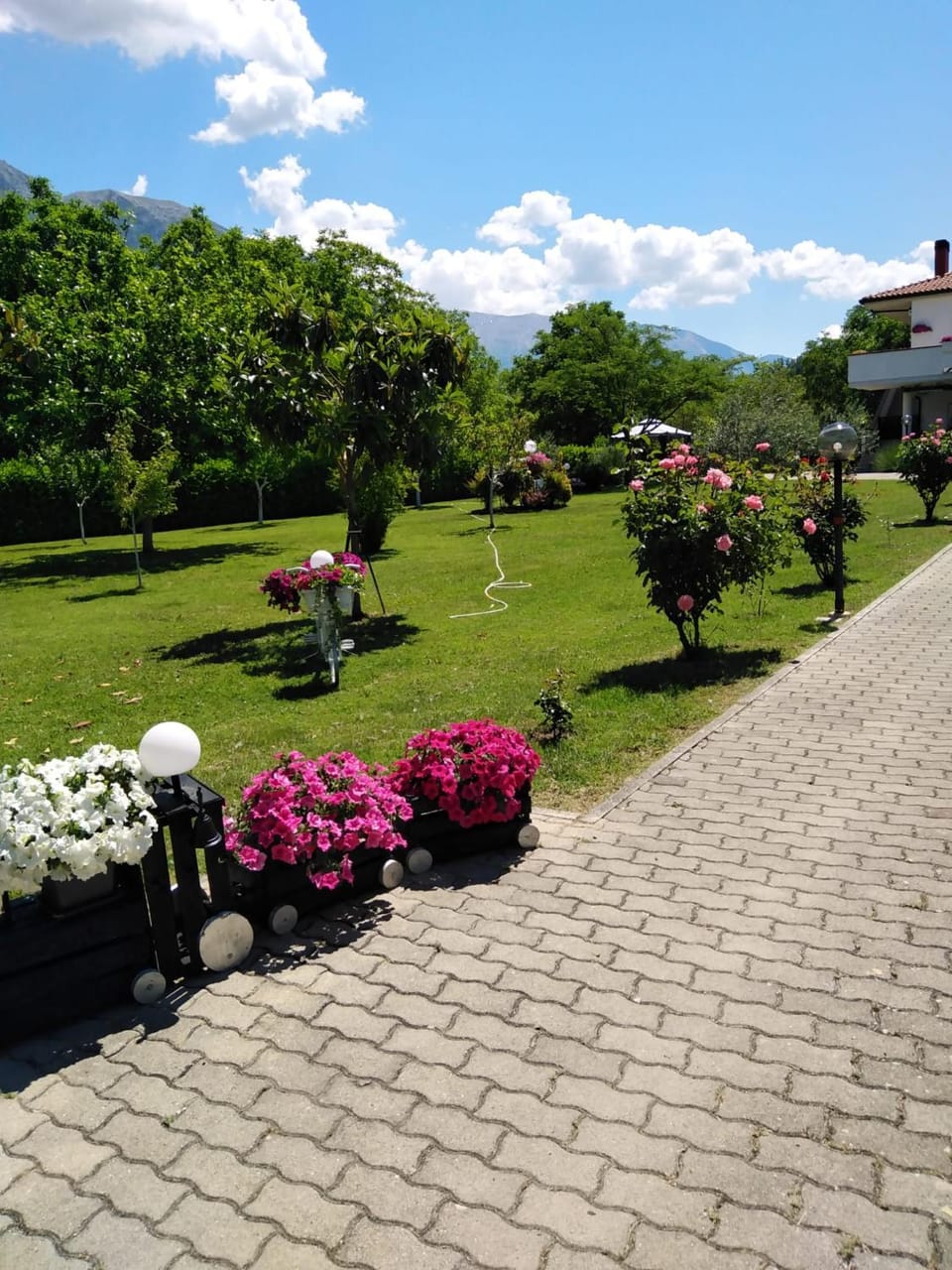 Day, Garden view