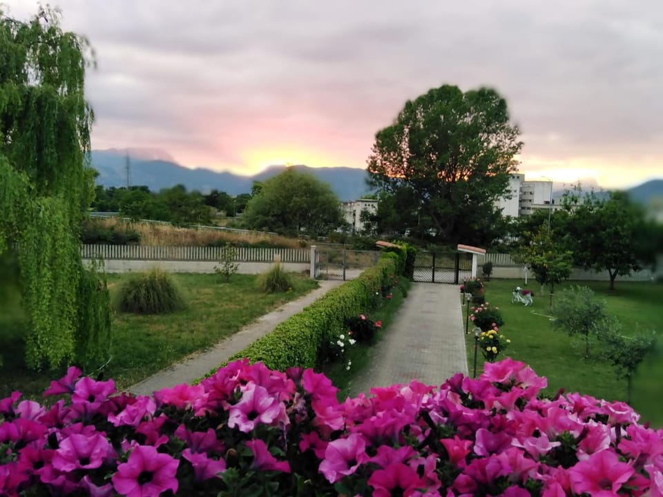 Spring, Day, Natural landscape, Garden, Garden view, Mountain view, Sunset
