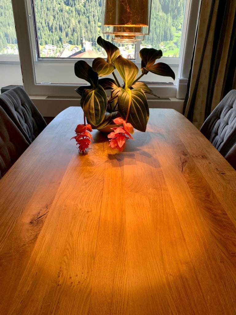 WEF DAVOS PLATZ Centre 3,5 Apartment with Garage Apartment in Davos