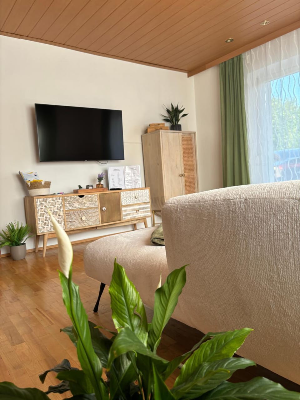 Communal lounge/ TV room, Living room