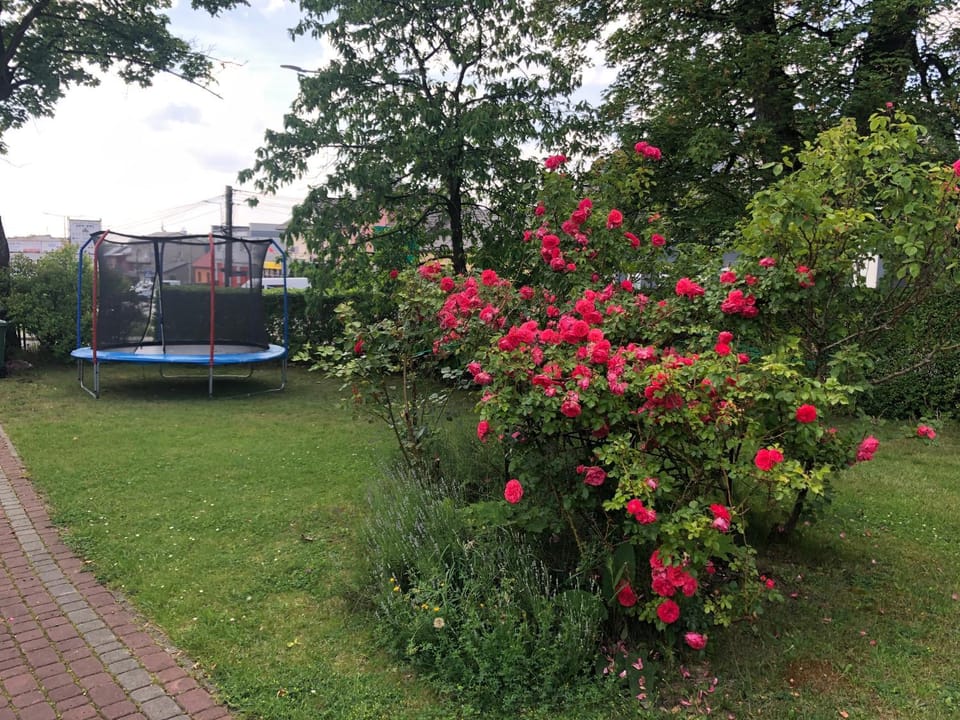 Children play ground, Garden, Garden view