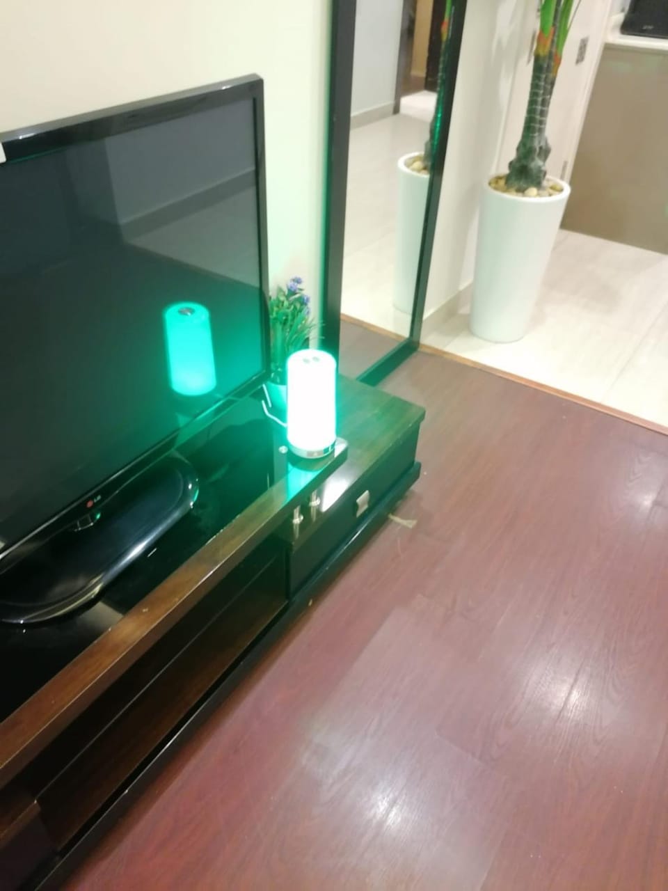 Facility for disabled guests