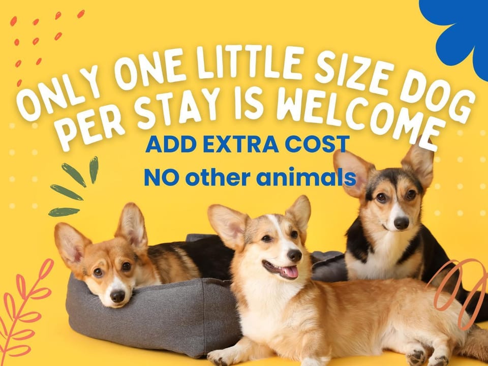 Animals, Pets