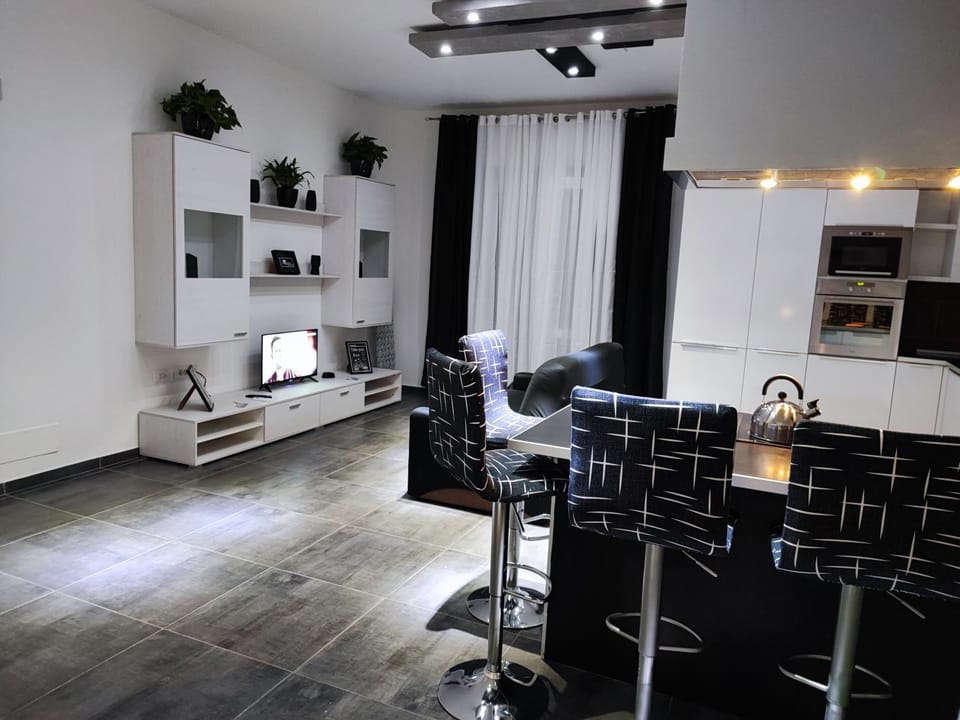 TV and multimedia, Kitchen or kitchenette, Living room, Dining area, minibar, pet friendly