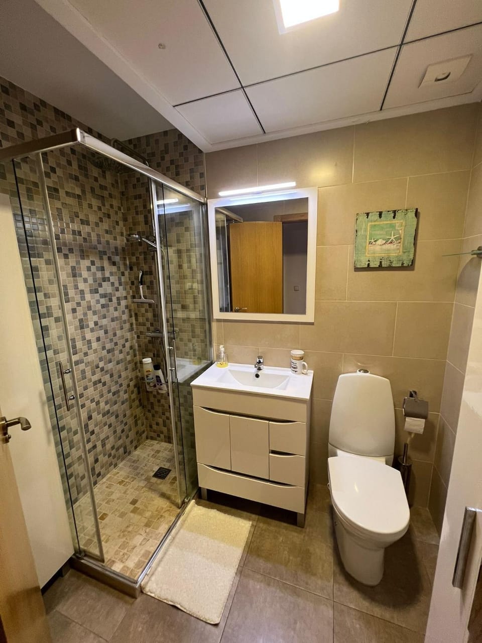 Shower, Toilet, Bathroom
