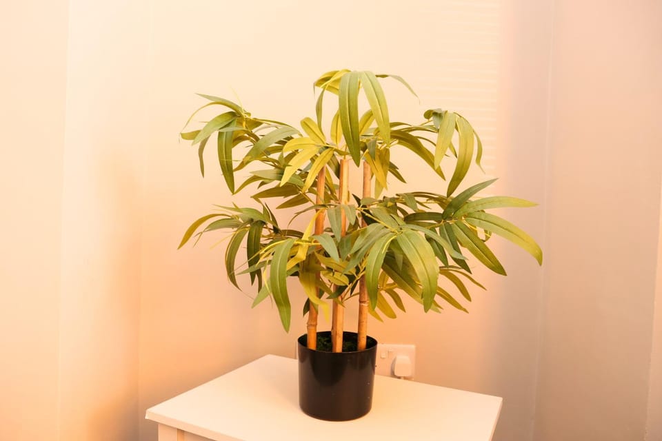 Ashville Grange Scarborough Sleeps 10 Large Beautiful House House in Scarborough