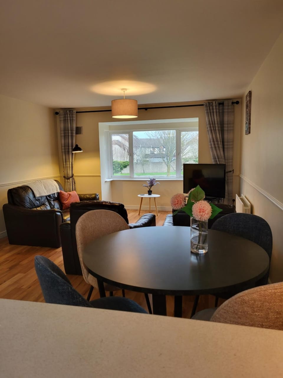 Greenview Apartment in Limerick