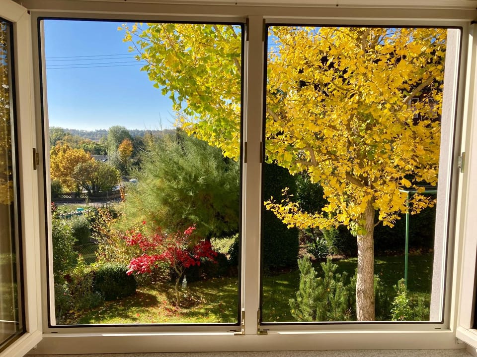 Garden, Garden view