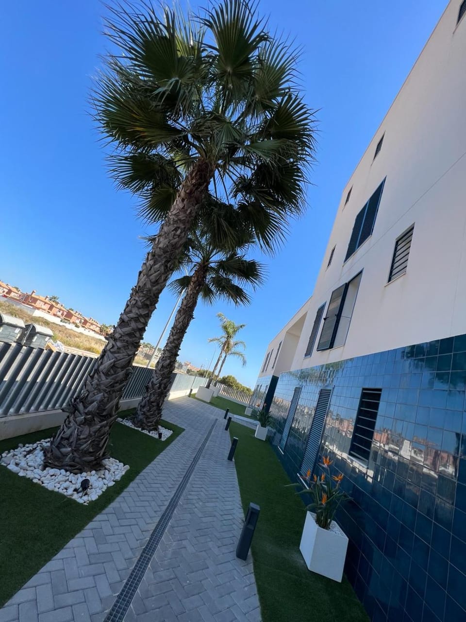 Property building, Day, Garden