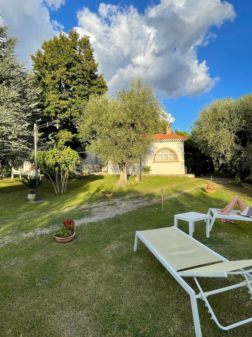 Day, Natural landscape, Garden, Garden, sunbed