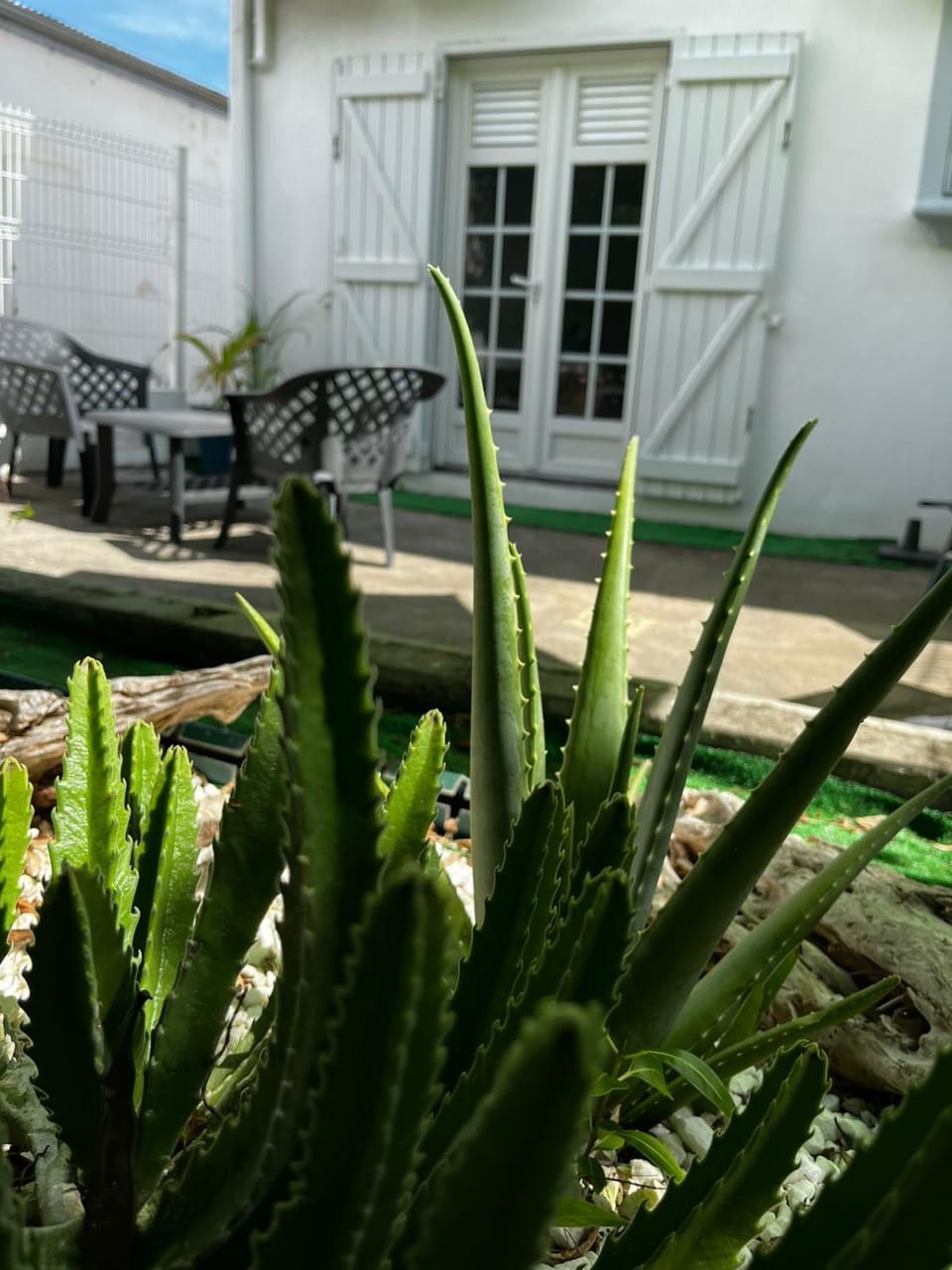 Garden, Garden view, Inner courtyard view