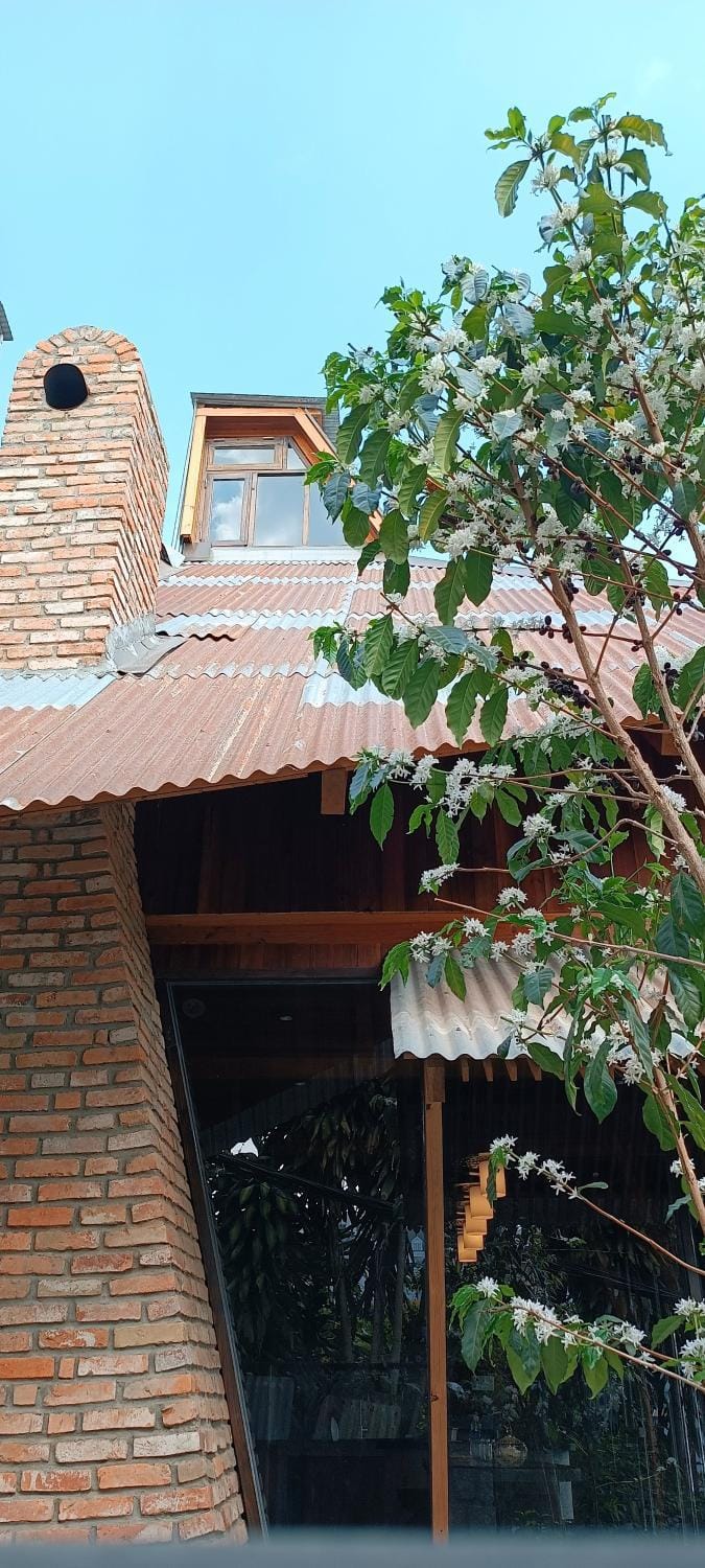 Ducampo House Dalat Chalet in Dalat